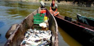 contaminación en aguas de Delta Amacuro