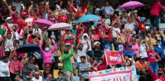 manual de Trabajo del PSUV