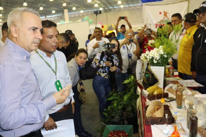 Más de 90 expositores participan en 1er Festival del cacao, café y miel en Táchira