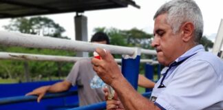 En Táchira inician segundo ciclo de vacunación contra la aftosa