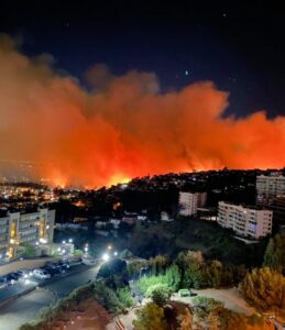Incendio en Chile deja un muerto, 400 viviendas quemadas y 110 hectáreas afectadas