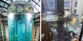 Estalla gigante acuario en un hotel de Berlín