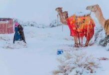¡Viral! Nieve en el desierto del Sahara