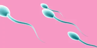 covid producción espermatozoides