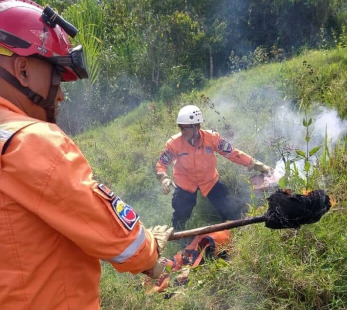 Hombre de 79 años muere picado por abejas en Táchira