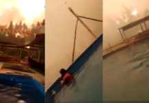 Familia se refugia en piscina para salvarse de incendio forestal en Chile