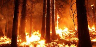 incendios forestales perú