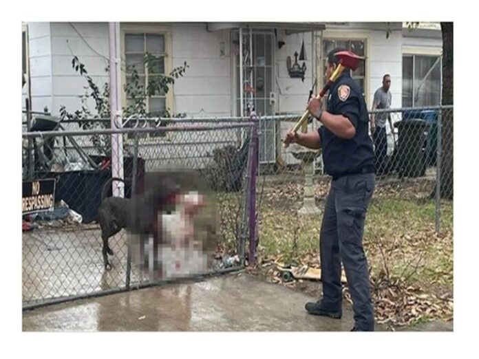 asesinado anciano perros texas