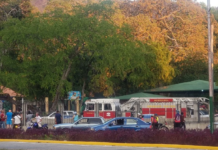 Un niño fallecido y cinco heridos tras caída de árbol en zoológico de Maracay
