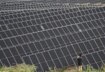parque energia renovable brasil