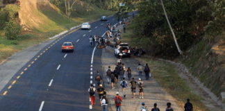 venezolanos arrollados méxico