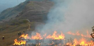 Inameh estima incendios forestales en Venezuela