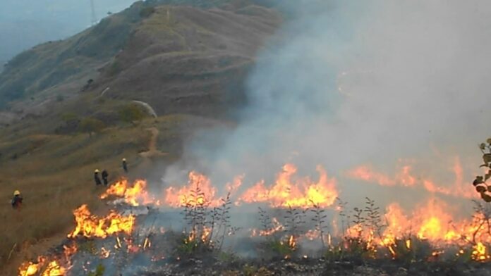 Inameh estima incendios forestales en Venezuela