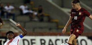 Venezuela perú sudamericano