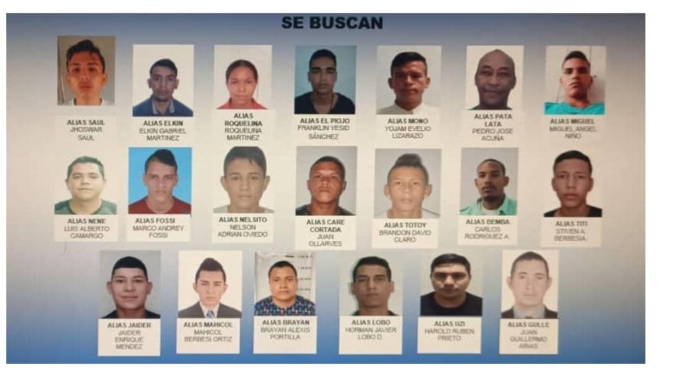 En Táchira desplegarán mil 350 funcionarios para erradicar criminalidad transfronteriza