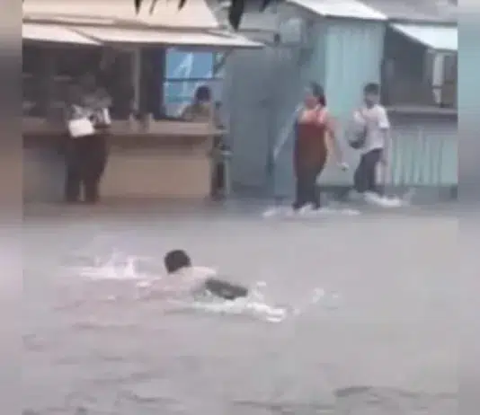 lluvias Barinas