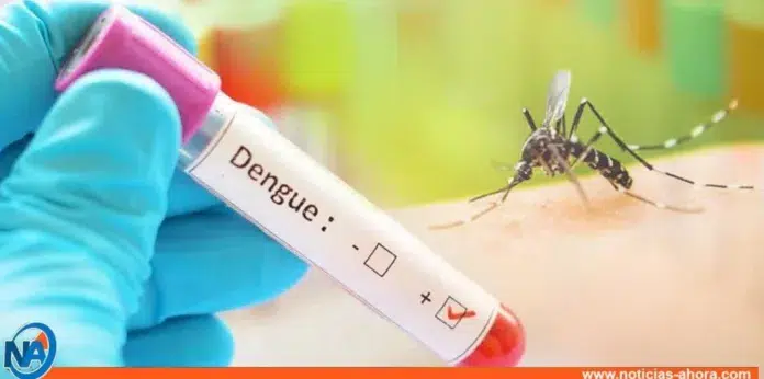 Perú: Dengue deja más de 168.000 casos y cerca de 300 muertos