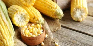 propiedades beneficios maíz