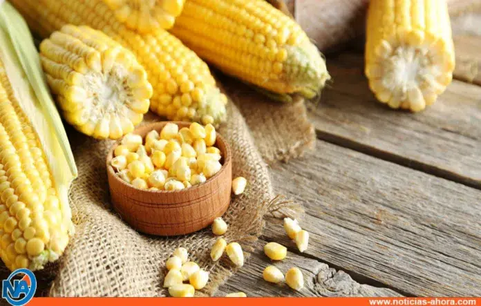propiedades beneficios maíz