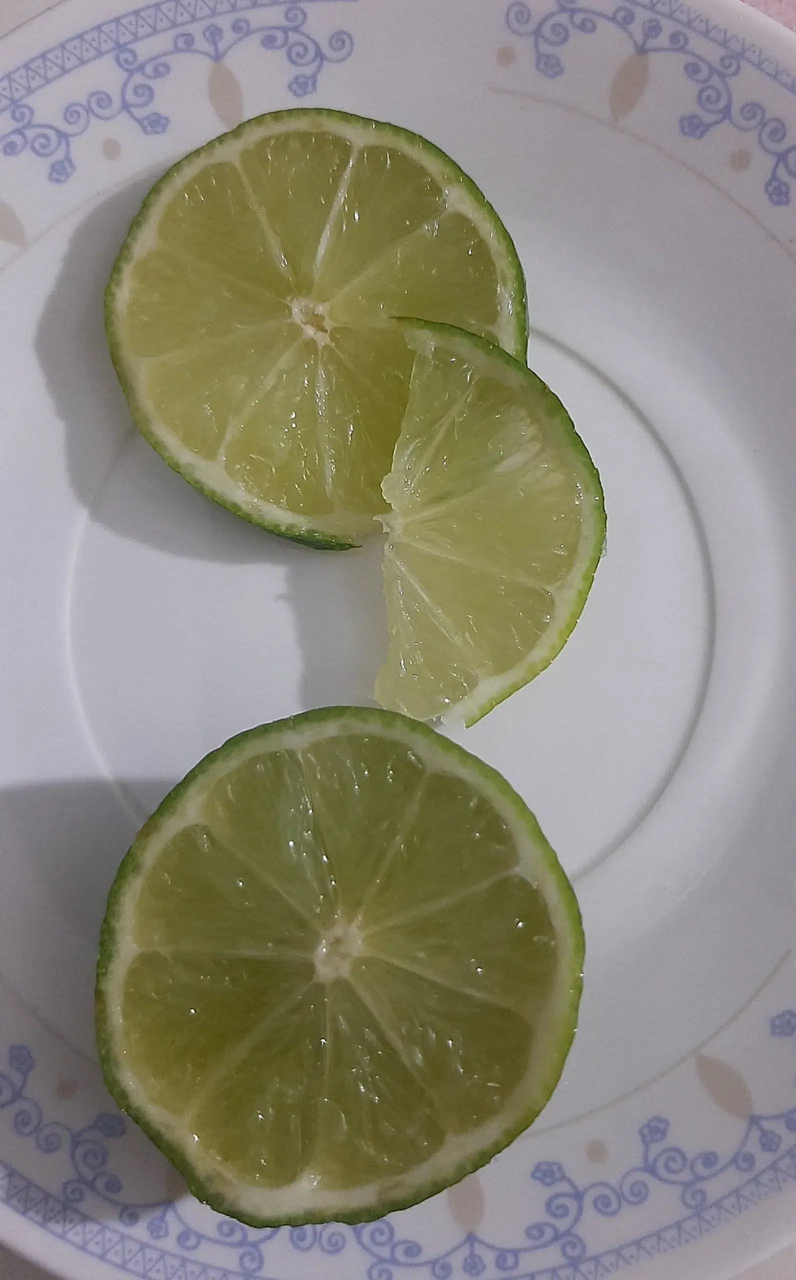 Evitar hormigas