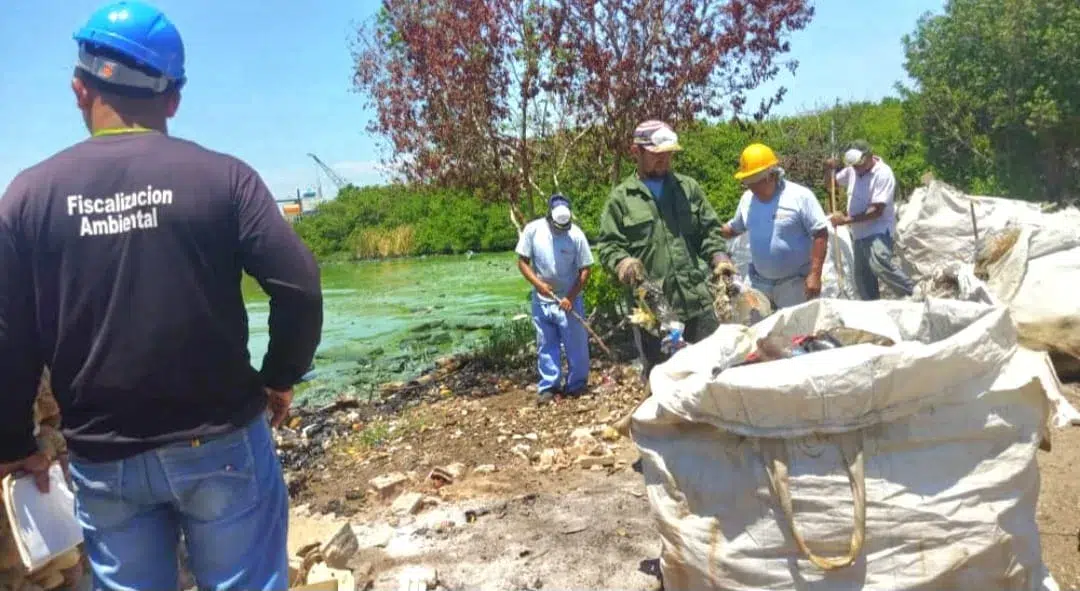 Gobierno Nacional continúa labores de saneamiento en el Lago de Maracaibo 