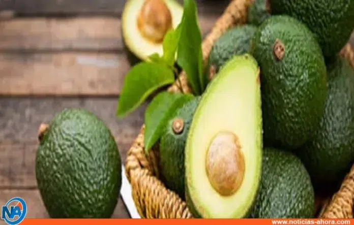 beneficios aguacate día