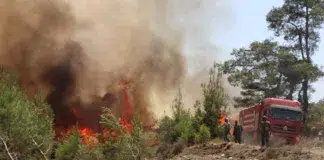 incendios forestales Siria