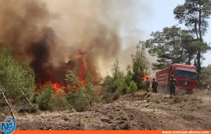incendios forestales Siria