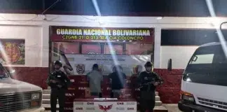 Táchira: Desmantelan banda dedicada al hurto y contrabando de ganado vacuno