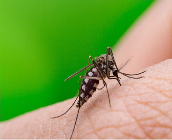 Dengue en Monagas