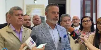 postulados rectores CNE