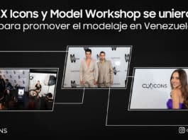 CLX Icons y Model Workshop