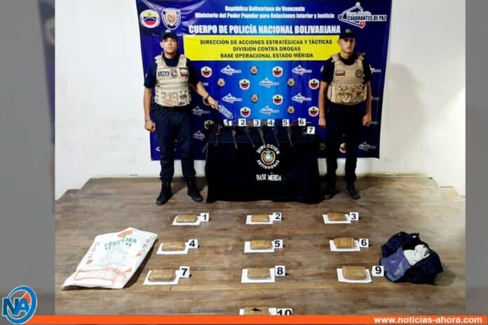 Mérida: PNB incautó 10 panelas de droga y 7 armas de fuego