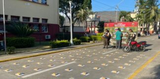 Detenido con más de 22 kilos de presunta droga en Táchira