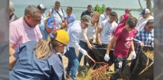 Realizan saneamiento y reforestación en Costa Oriental del Lago de Maracaibo
