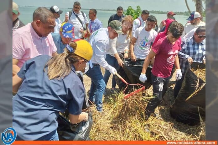 Realizan saneamiento y reforestación en Costa Oriental del Lago de Maracaibo