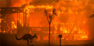 Australia incendios forestales