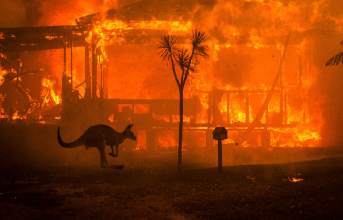 Australia incendios forestales