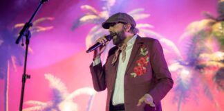 Juan Luis Guerra Capitán Avispa