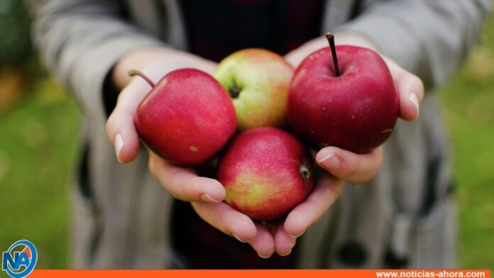 Estos son los beneficios de consumir manzana
