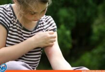 Descubre si eres un "imán" para los mosquitos y cómo puedes evitarlo