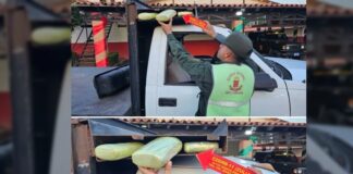 GNB detiene concejal con más de 50 kgs de droga en el Sur del Lago - Zulia