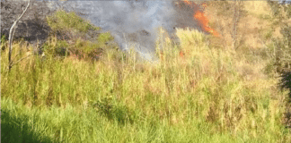 Incendio forestal amenaza El Ávila