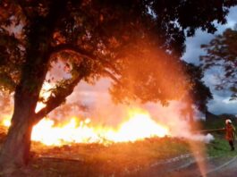 Incendios Forestales en Cojedes
