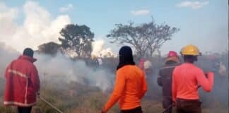 Incendios forestales en Cojedes