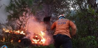 Protección Civil reporta que incendios en Táchira sobrepasan las cifras históricas