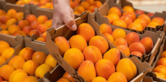 Albaricoque propiedades beneficios fruta