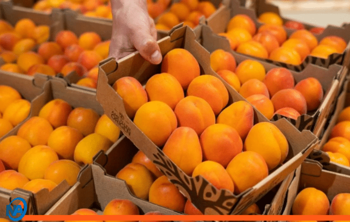Albaricoque propiedades beneficios fruta