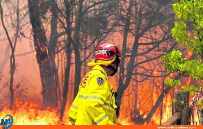 Incendios forestales Australia