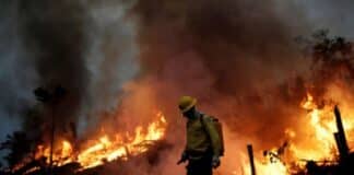 Incendios forestales en Brasil